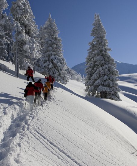 Guided Snoeshoe hiking in Schladming | © Josef Moritz