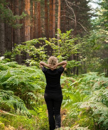Natur.Kraft.Platz. im Wald | © ededchechine on Freepik