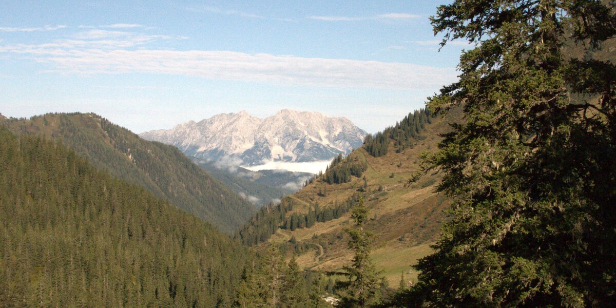 Blick von der Planneralm auf den Grimming | © Landentwicklung Steiermark