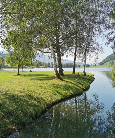 Ostufer Putterersee | © Landentwicklung Steiermark