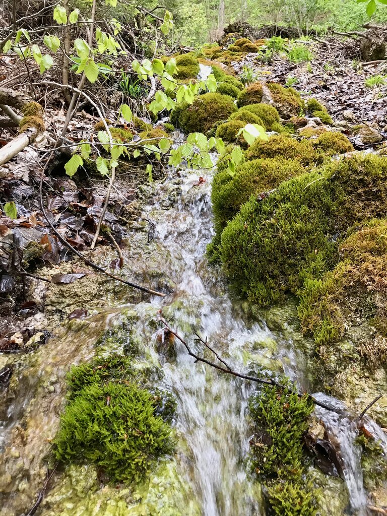 Chapel Heiligenbrunn - Impression #2.3