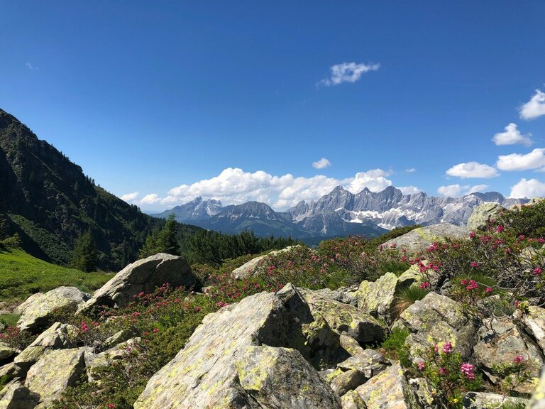 Mountain Guide Martin Huber  - Impression #2.6