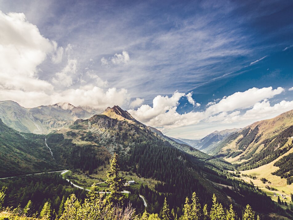 Information office Nature Park Sölktäler - Imprese #1 | © Lupi Spuma