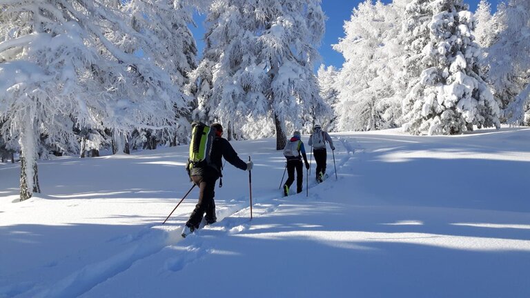 Bergführer Dachstein Hans Prugger - Impression #2.5 | © Hans Prugger