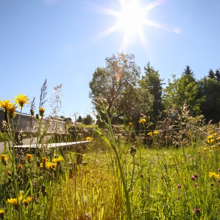 Panorama Rohrmoos | © Loretta Kvitek