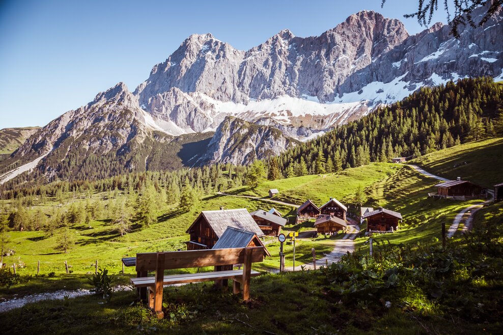 Panorama Neustatt | © Loretta Kvitek
