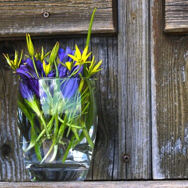 Blumen | © Symbolbild PixaBay / onkelglocke