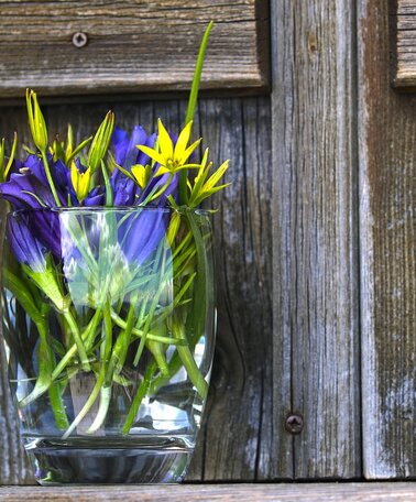 Blumen | © Symbolbild PixaBay / onkelglocke