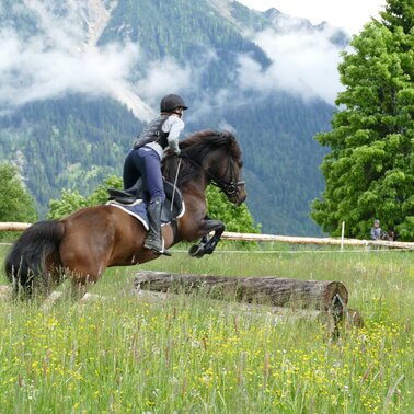 © Huzulengestüt - Irene Zimmermann