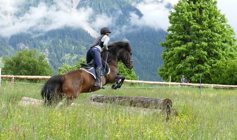 © Huzulengestüt - Irene Zimmermann