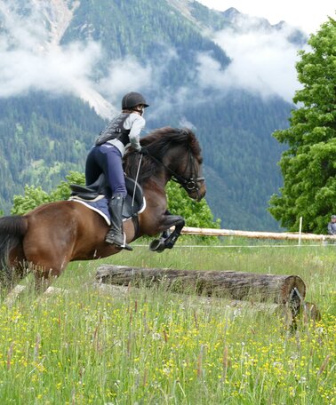 © Huzulengestüt - Irene Zimmermann