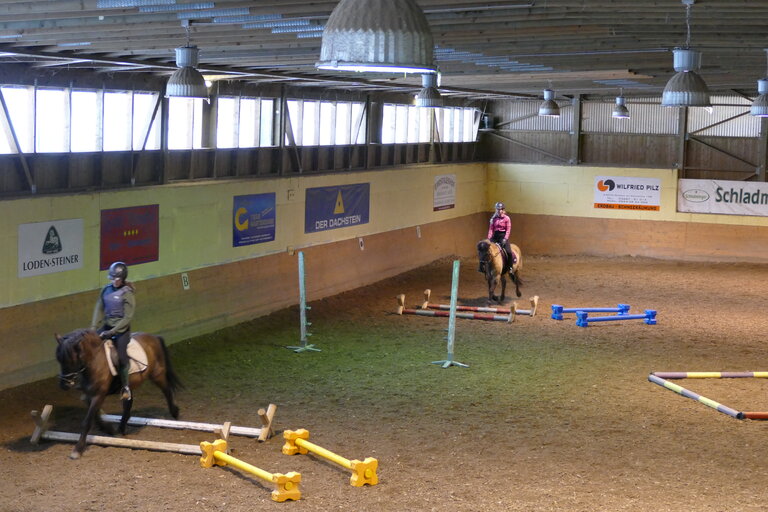 Hutsul studs - Impression #2.4 | © Huzulengestüt - Irene Zimmermann