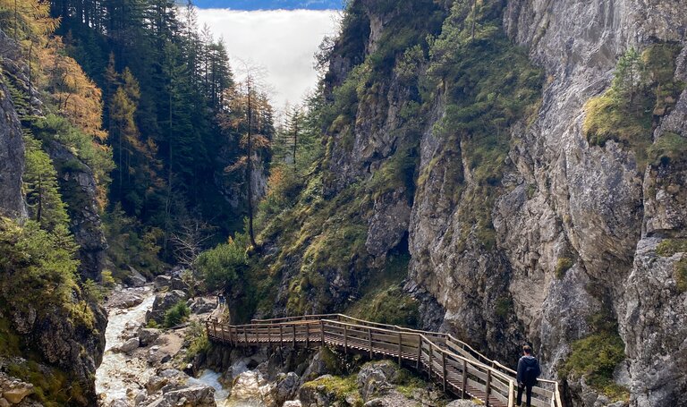 © 1000things_JoWelling_DanielLeeb 