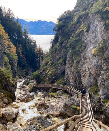 © 1000things_JoWelling_DanielLeeb 