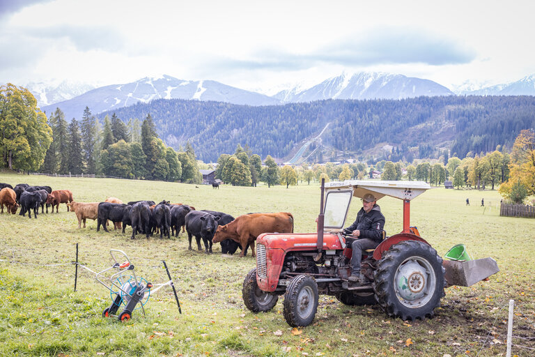 Bakery Heinz Lasser  - Impression #2.8 | © Netzwerk Kulinarik wildbild