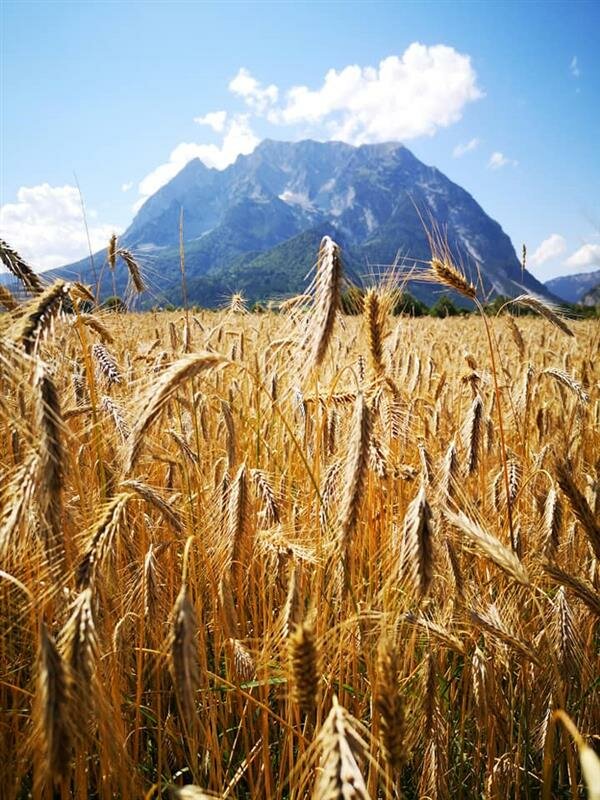 Ennstal Mehl - Fam. Neuper - Impression #2.13