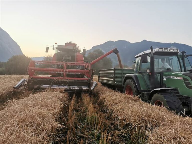 Ennstal Mehl - Fam. Neuper - Impression #2.14