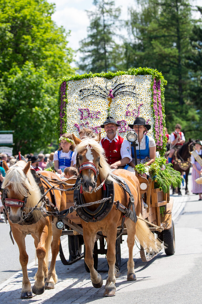 Frühlingsfest der Pferde | © Hans-Peter Steiner