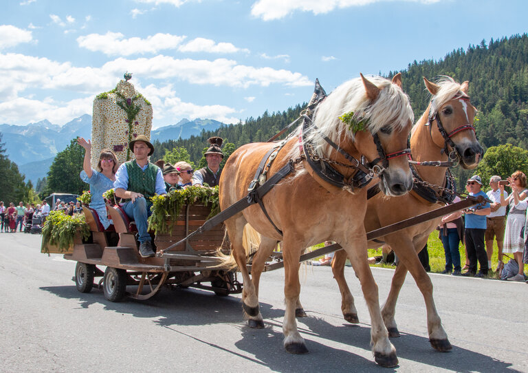 Frühlingsfest der Pferde | © Michael Simonlehner