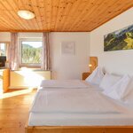 obrázek Dvojlůžkový pokoj, sprcha, WC, balkón