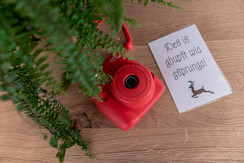 Tauernprinzessin Foto