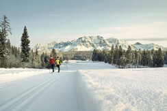 Langlauf-Mainshot_3000x1688©Peter Burgstaller