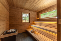 Wellness Sauna