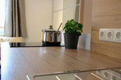 ALPartement Trinker - Küchenherd