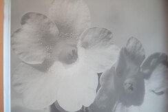 alpenecho_appartements-14