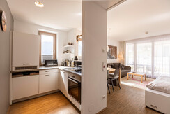 ars_fw6.2_fta_2404_07