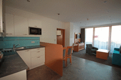 Wohnen & Essen im Typ 1