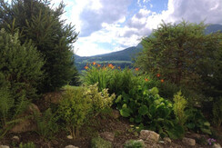 apartment krummholz summer garden from window76264