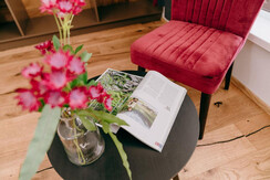 Erholung pur im Apartment Greisslerei