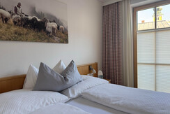 Alpenwelt Zimmer mit Balkon und TV