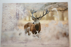 Apartments Schmiedgut_Deko