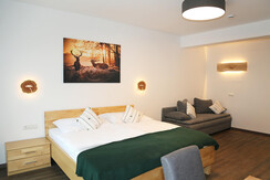 Apartments Schmiedgut_Doppelzimmer, Dusche, WC