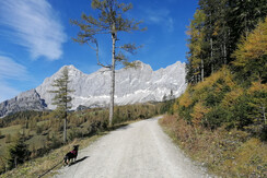 Der Dachstein