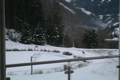 Ferienwohnung-Appartement-Oppenauer-Gut-im-Naturpa