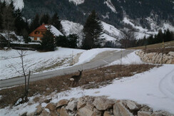 Ferienwohnung-Appartement-Oppenauer-Gut-im-Naturpa