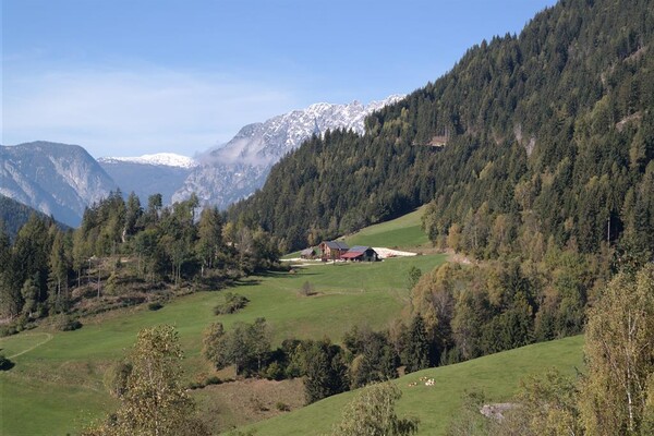 Ferienwohnung-Appartement-Oppenauer-Gut-im