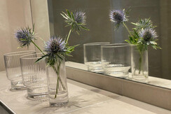 Appartement Steinfisch