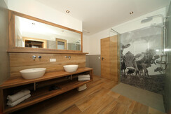 Badezimmer Appartement Ignaz