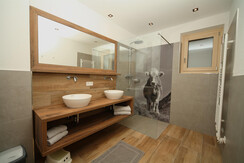 Badezimmer Appartement Ignaz