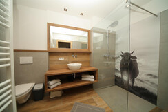 Badezimmer Appartement Vevi