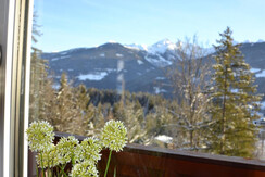 (23) Alpenblick_Appartement Ramsau_Ausblick