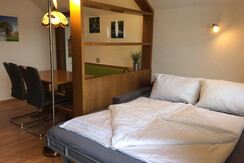 (5) Alpenblick_Appartement Dachstein_Schlafcouch