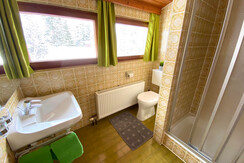 (16) Alpenblick_Appartement Dachstein_Bad