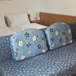 obrázek Apartmán, sprcha, WC, 1 místnost na spaní