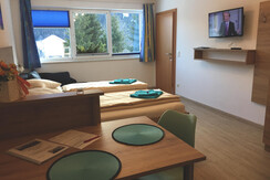 Wohn-Schlafraum Appartement Studio