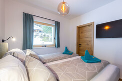 Top 1 H_Steiner-9353